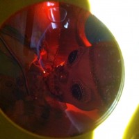 http://www.dejodelacombe.com/files/gimgs/th-2_11073318_10152596242040378_2145811802900444113_n.jpg