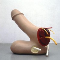 http://www.dejodelacombe.com/files/gimgs/th-2_429587_10151269784130378_527993860_n.jpg