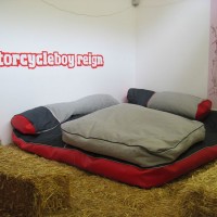 http://www.dejodelacombe.com/files/gimgs/th-2_FB03_magnin03.jpg