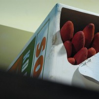 http://www.dejodelacombe.com/files/gimgs/th-2_IMG_3601.jpg