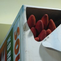 http://www.dejodelacombe.com/files/gimgs/th-2_IMG_3602.jpg