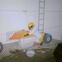 http://www.dejodelacombe.com/files/gimgs/th-2_T_XAVIER_3.jpg