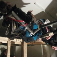 http://www.dejodelacombe.com/files/gimgs/th-2_frenchies-performance10.jpg